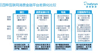 中國互聯(lián)網(wǎng)消費(fèi)金融市場(chǎng)專題研究報(bào)告 金融信息服務(wù)的現(xiàn)狀與前景
